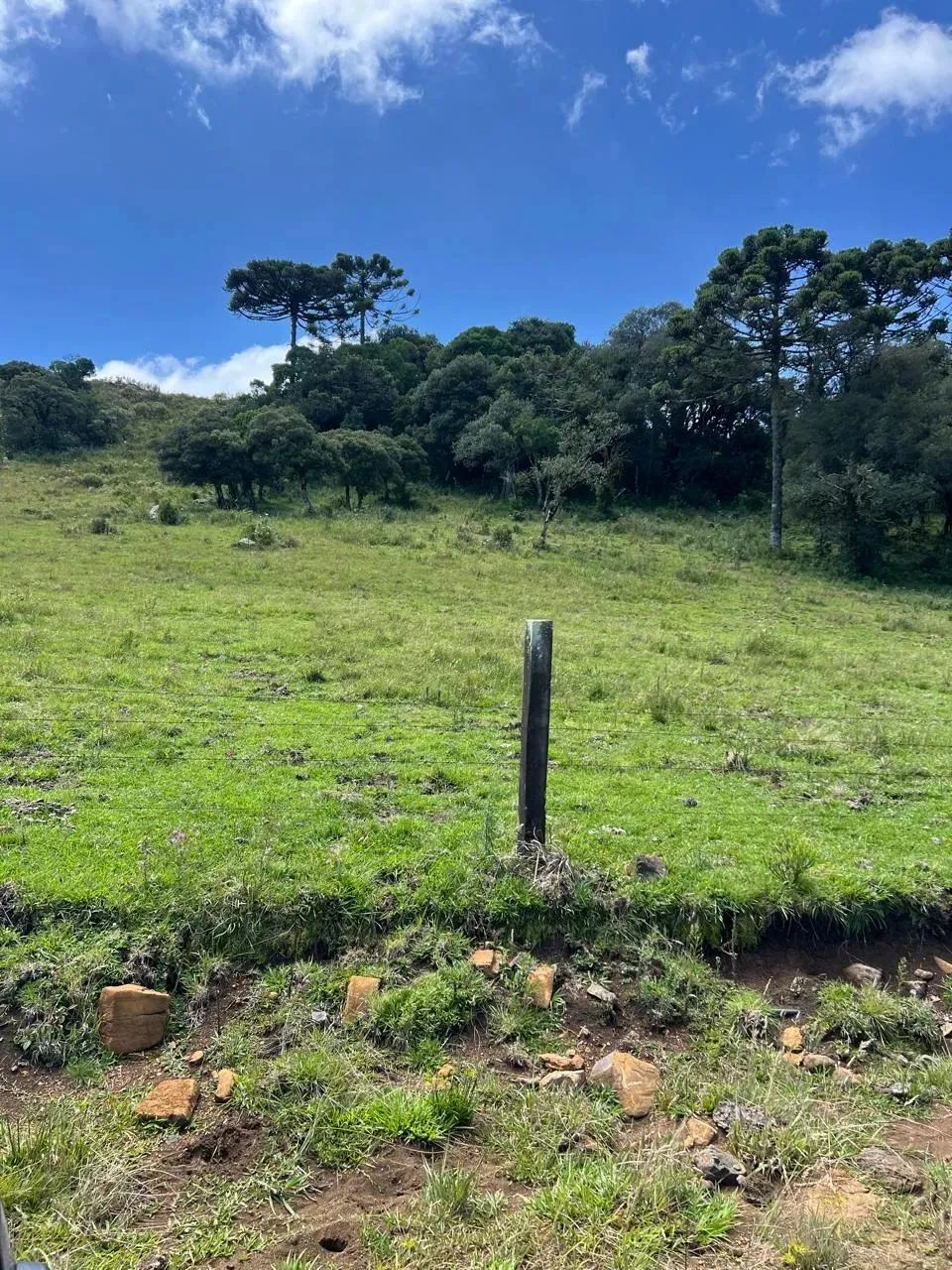 Terreno com ótimo acesso, energia elétrica instalada e desconto de 15% à vista - Foto 5