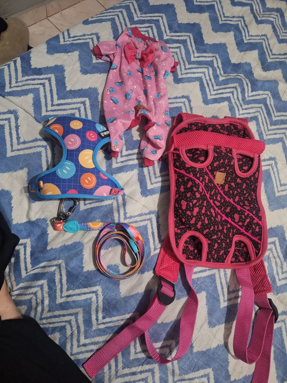 Kit de acessórios para cachorro.