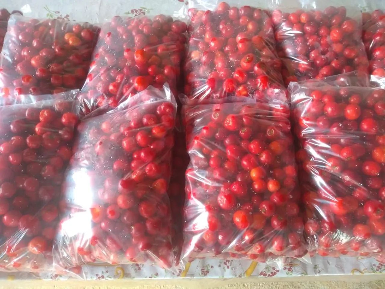 Acerola  congelada  - Foto 5