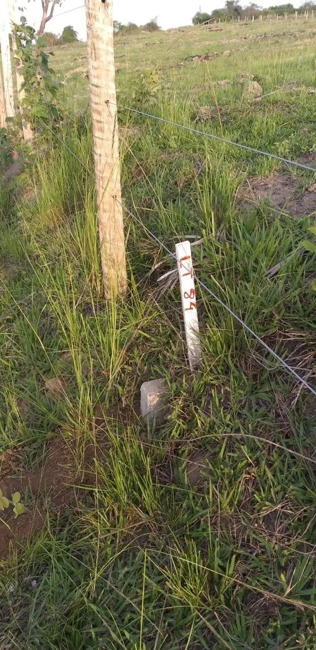 Foto - Itaguaí - Vila Ibirapitanga