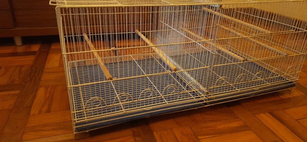 Gaiola Voadeira Com Divisória Grande Branca - Foto 2