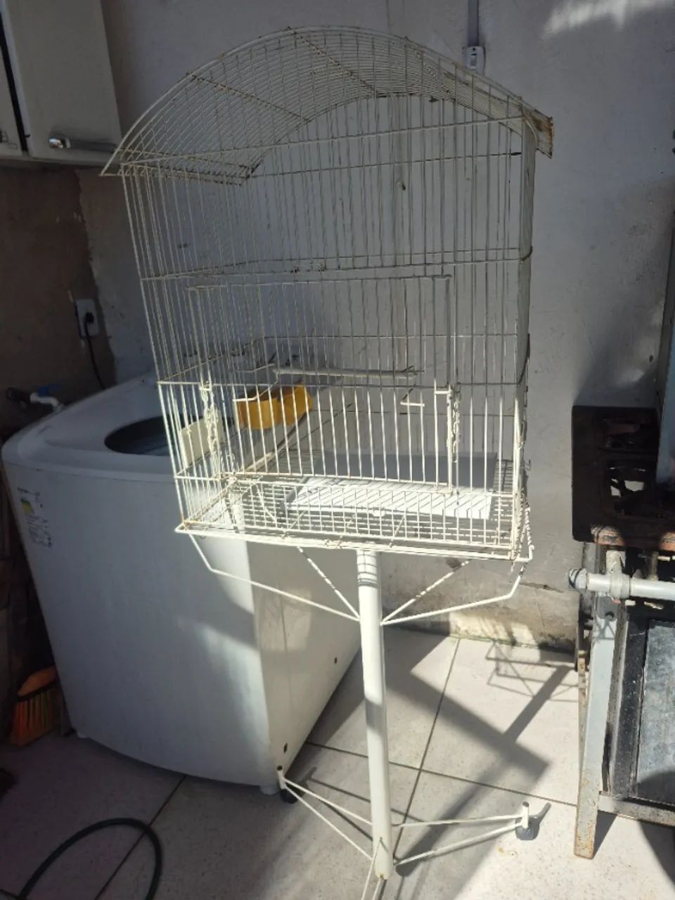 Viveiro grande. Calopsita cerca de 1,60 de altura - ABAIXOU!!! - Foto 5