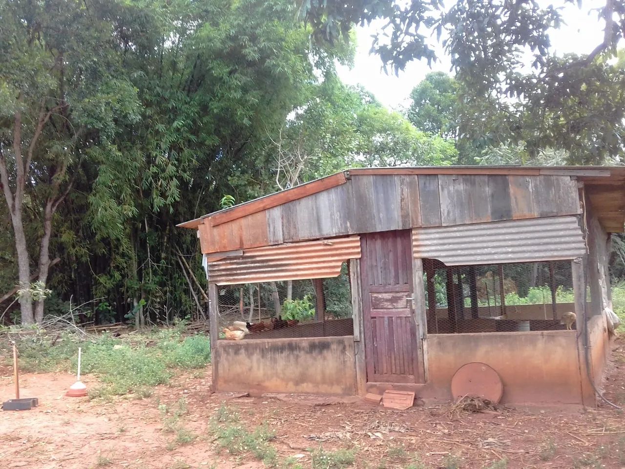 Vendo Sítio na Gameleira! - Foto 10