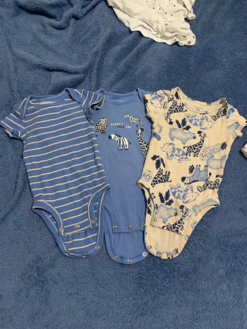 Bodies Carter's - Kit com 3