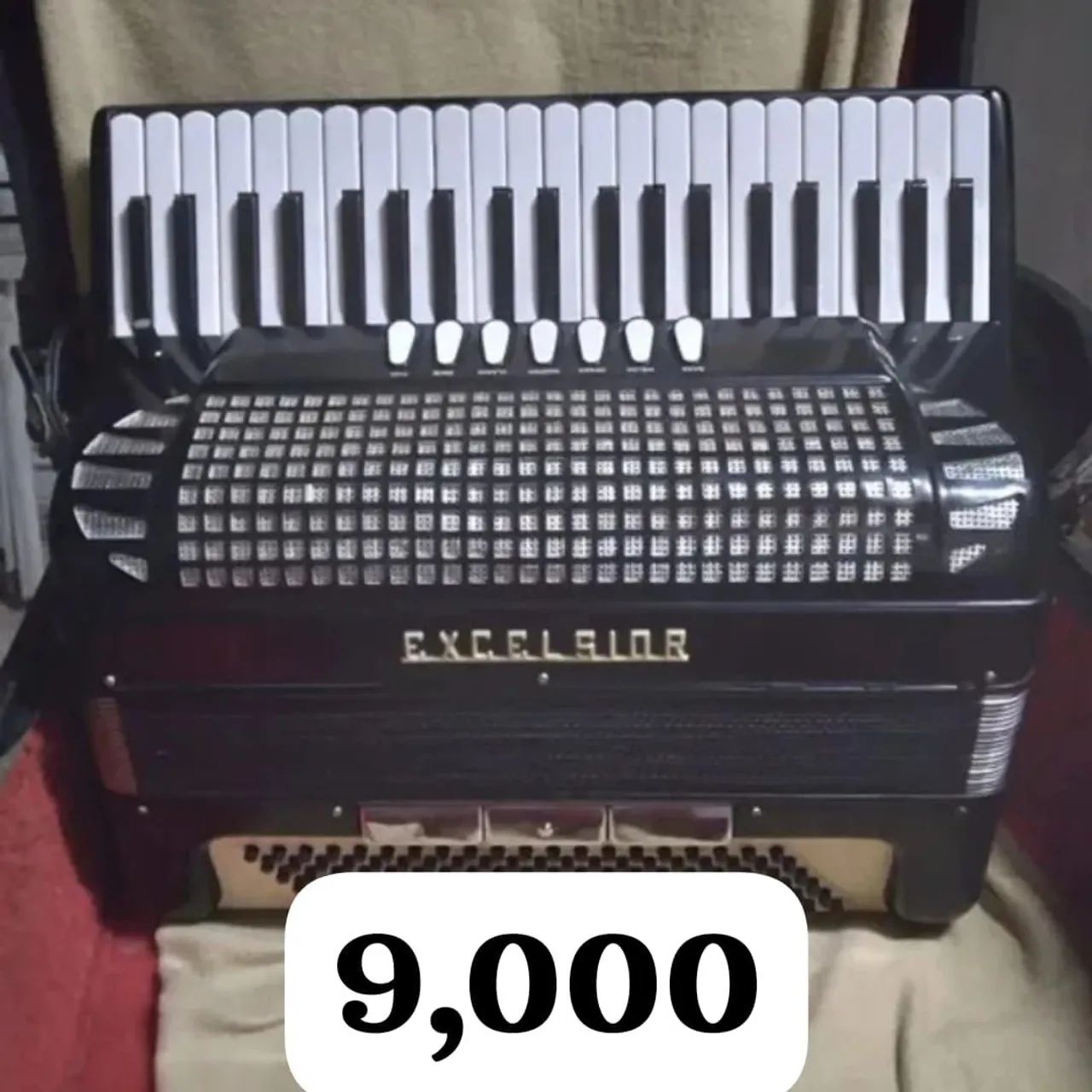 Sanfona EXCEILSIOR pronta pra trabalhar 