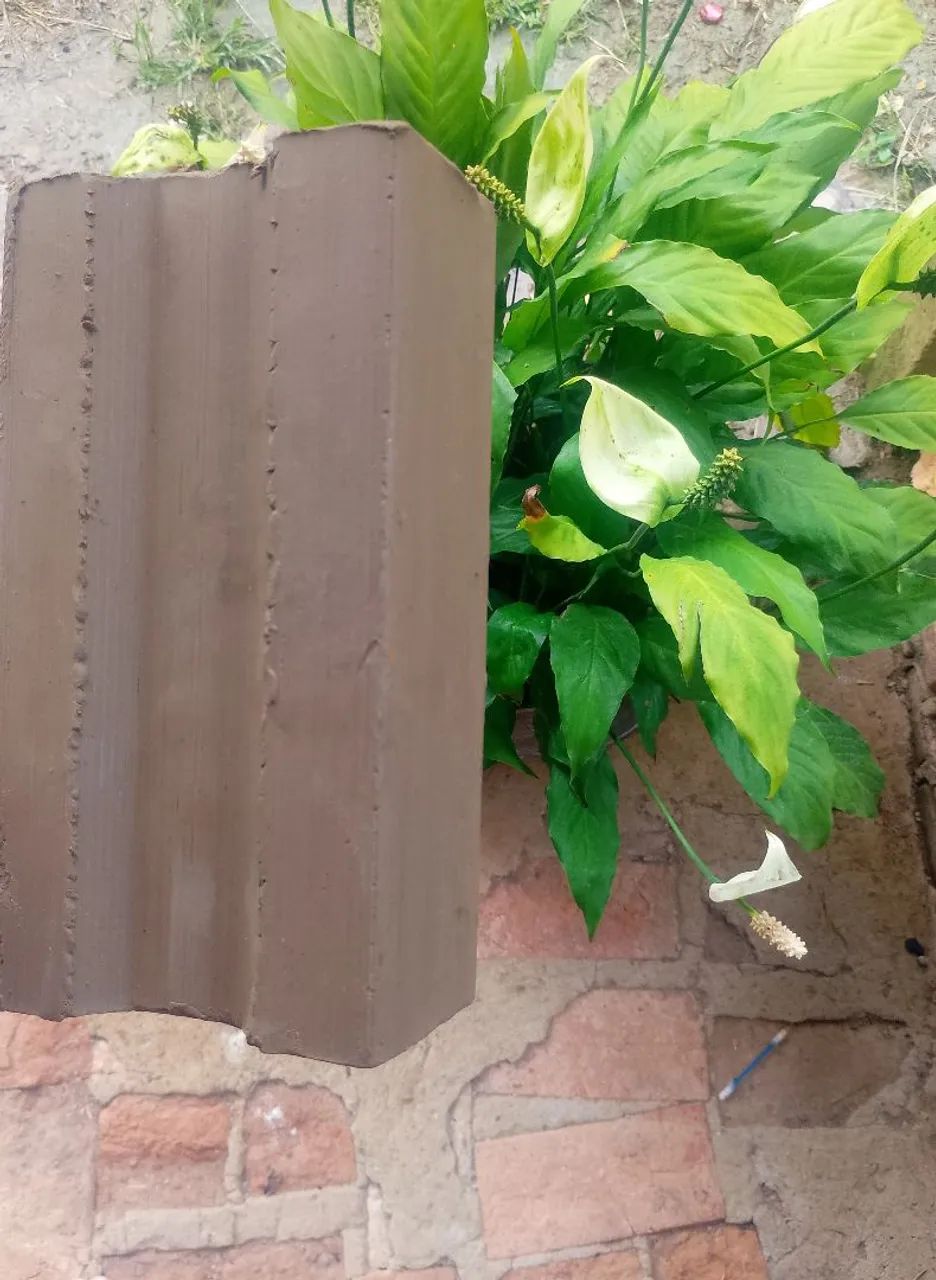 ? Tijolo64840790508290120