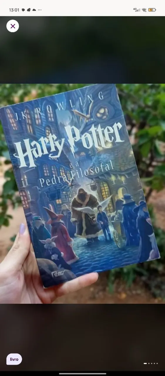 Harry Potter e a pedra filosofal 