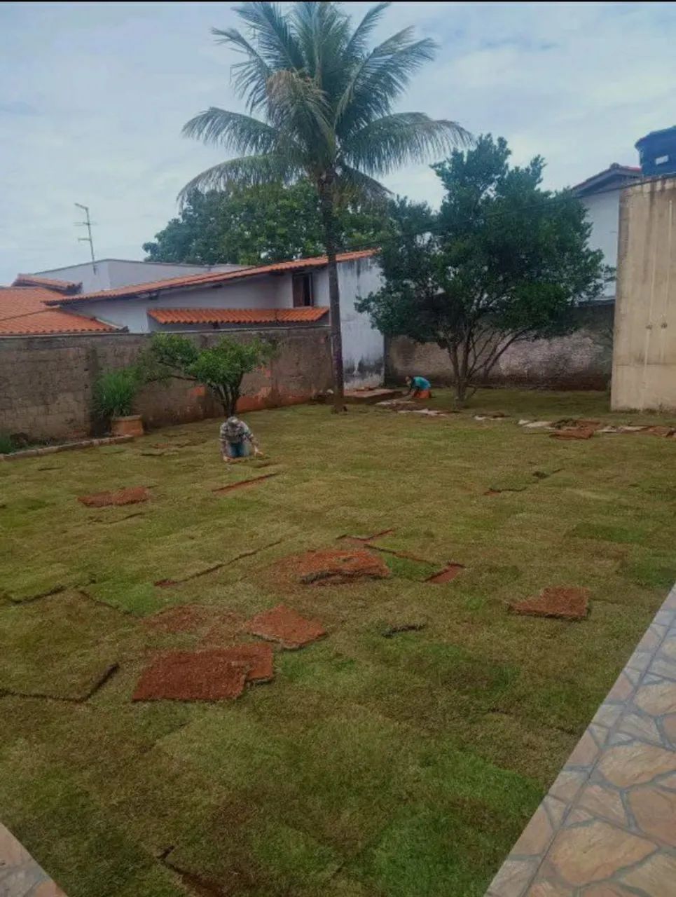 Promoção! Gramas de alta qualidade! - Foto 2