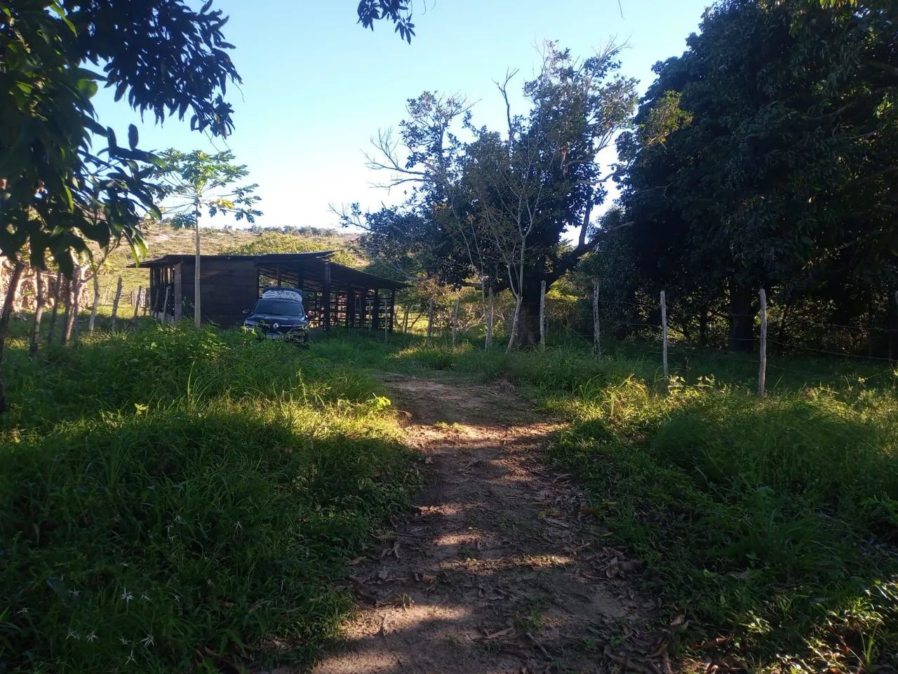 TERRENO PARA CRIA GADO , CAVALO E PLANTAÇÕES  - Foto 3