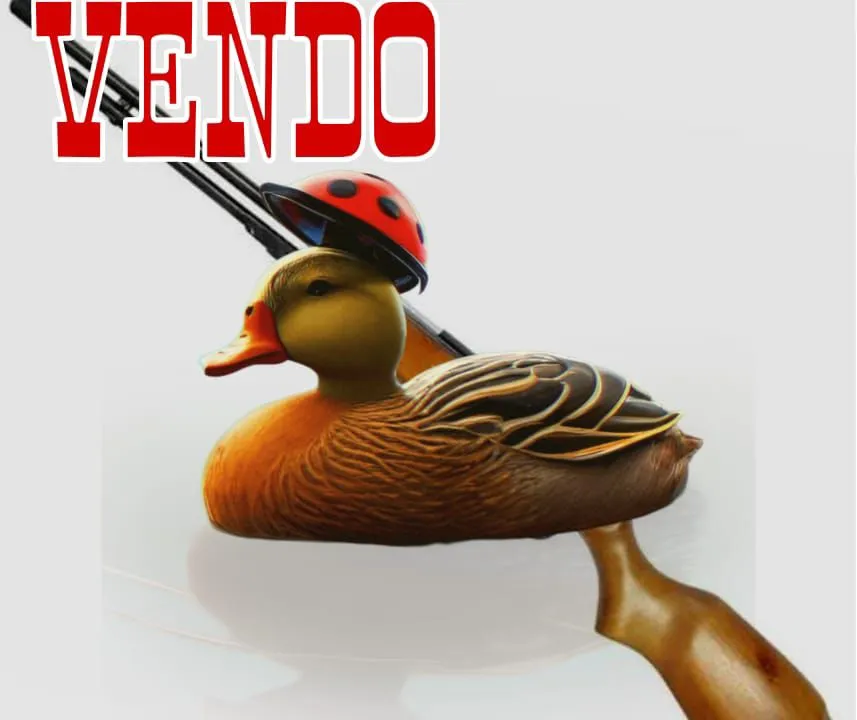 VENDO Desapego