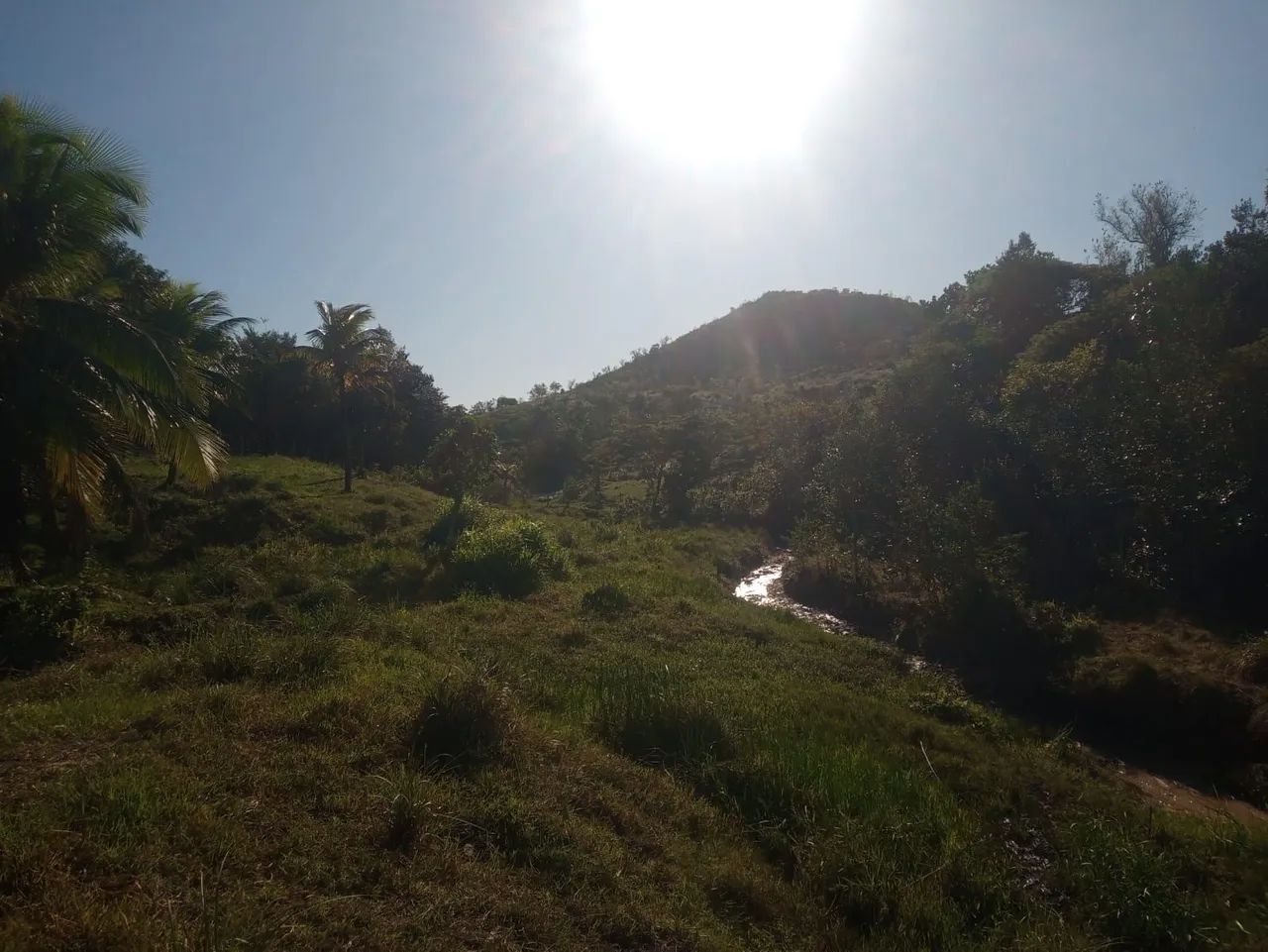TERRENO PARA CRIA GADO , CAVALO E PLANTAÇÕES  - Foto 4