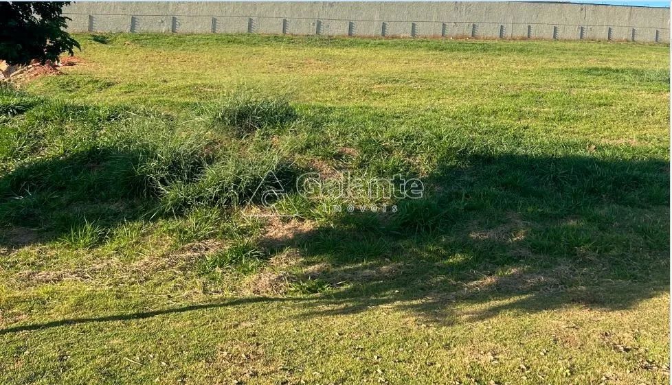 terreno - Loteamento Residencial Pedra Alta (Sousas) - Campinas - Foto 2
