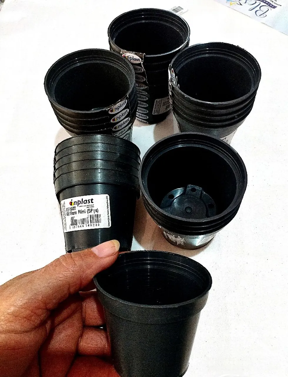 Kit com 25 vasos de plantas pequenos