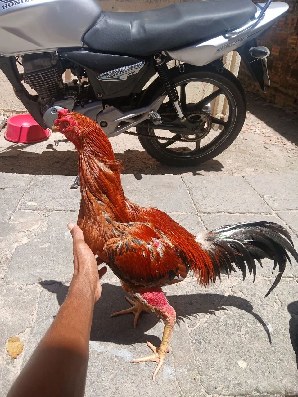 Pra vender no preço  - Foto 3