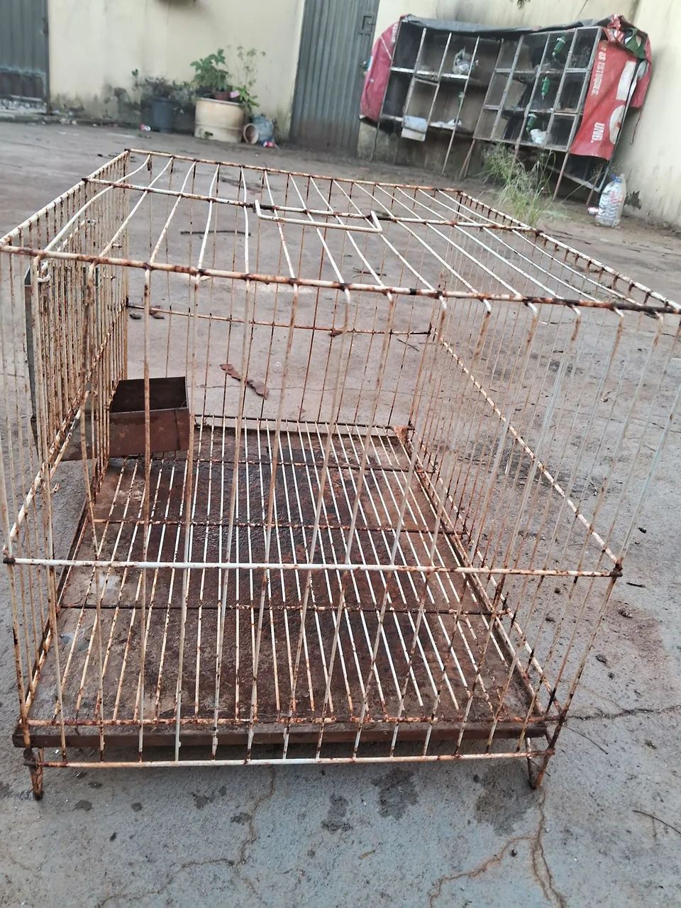 Gaiola de coelho em Anápolis 437443585492930563