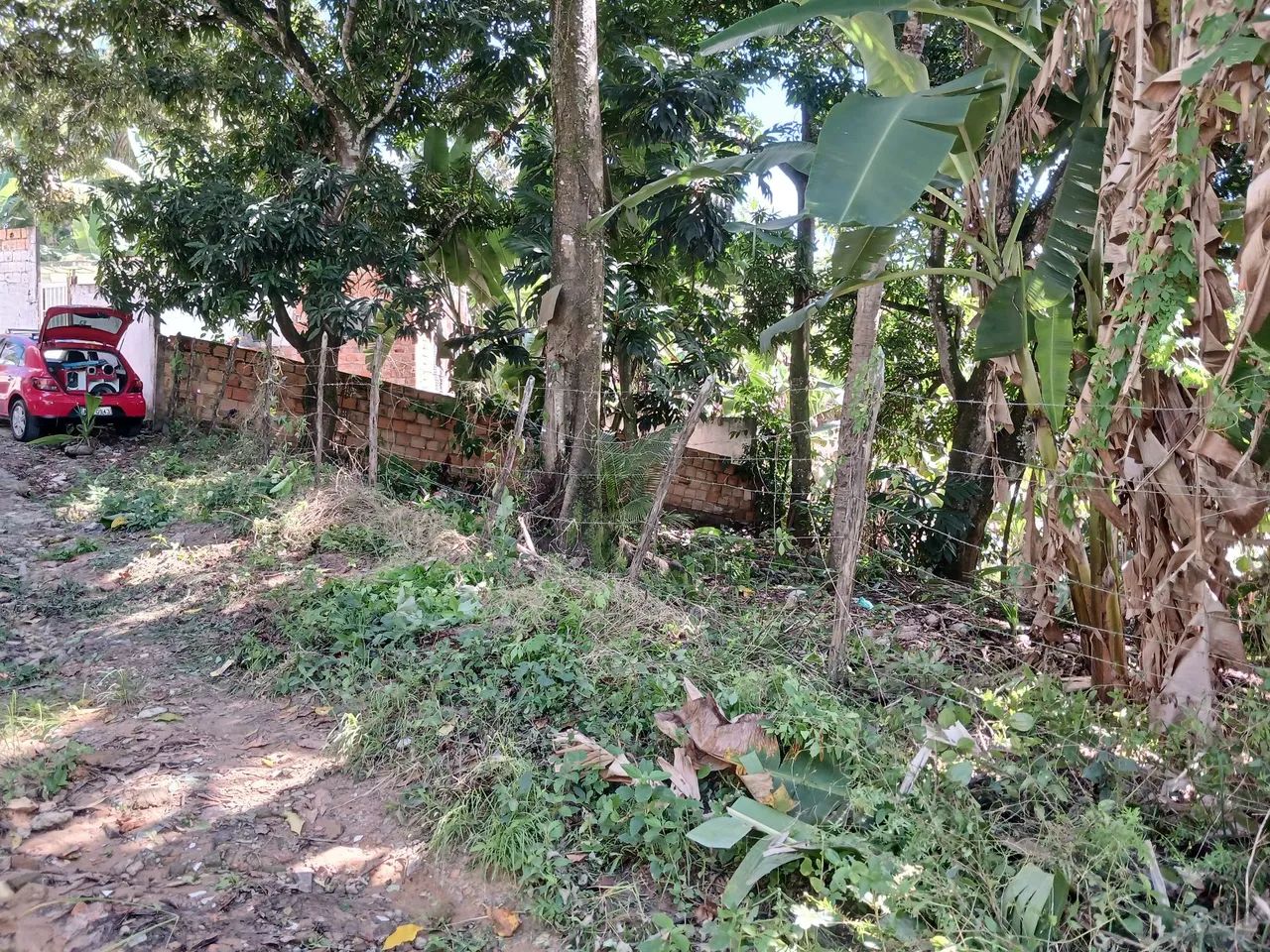 Terreno em Monte gordo  - Foto 2