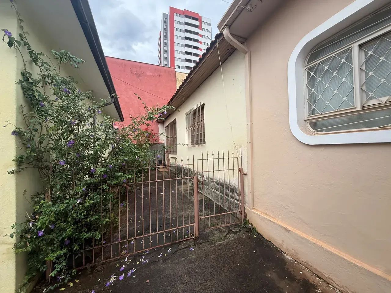 Centro - Piracicaba - SP - Foto 4