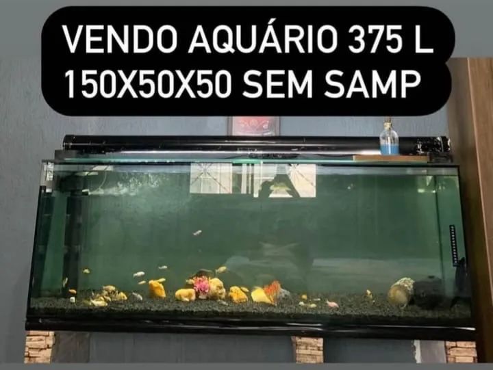 Aquário 150x50x50 de altura 375 litros   - Foto 2