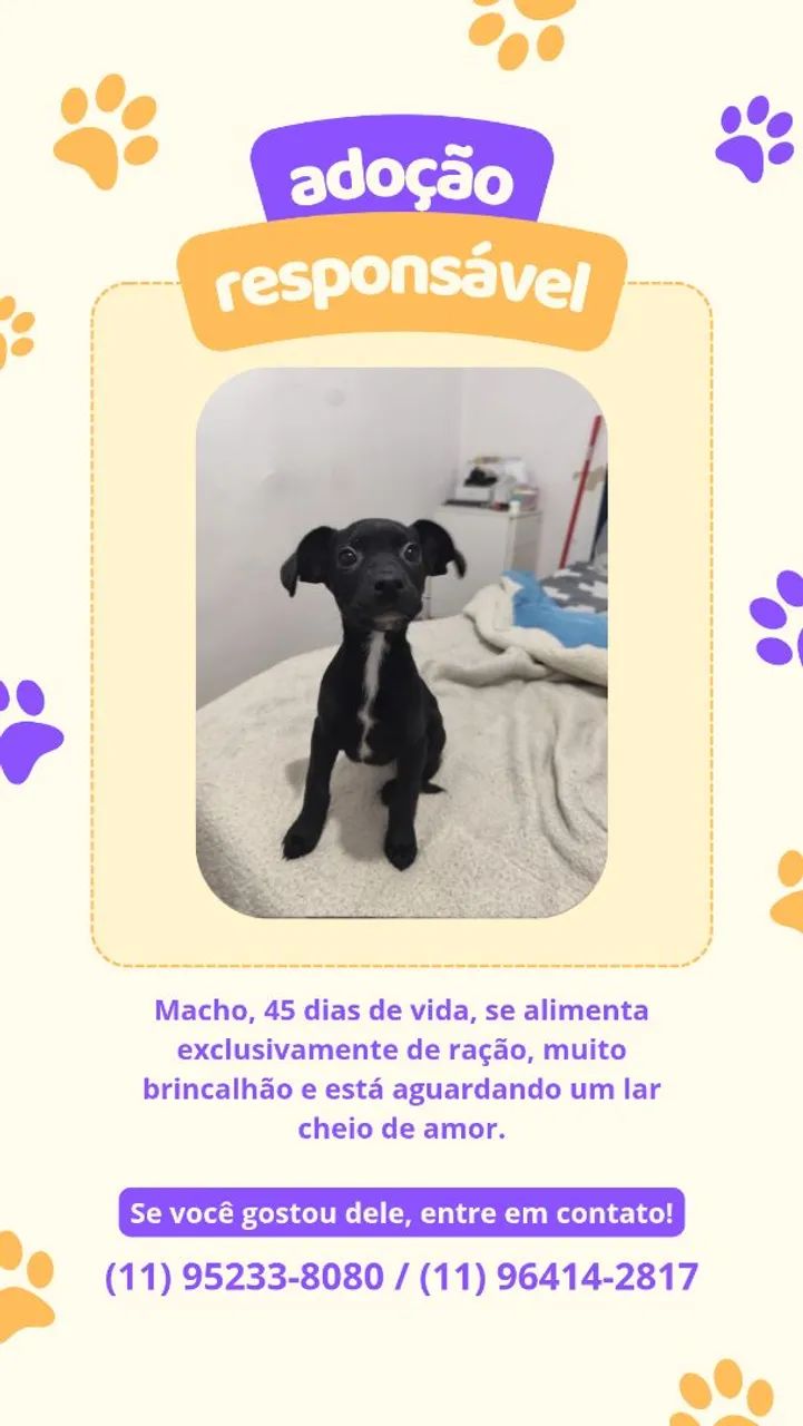 DOAÇÃO