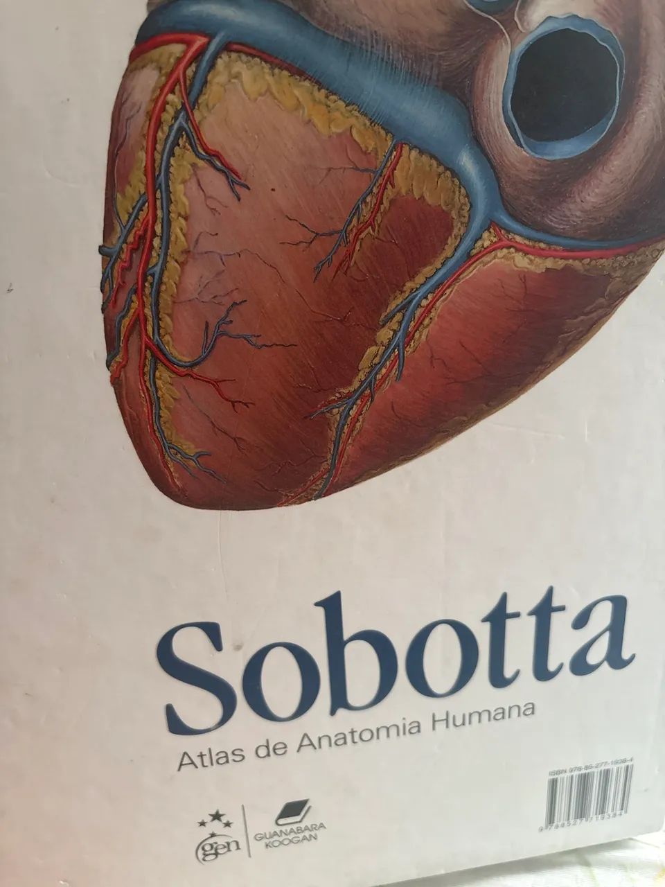 Atlas de anatomia  - Foto 2