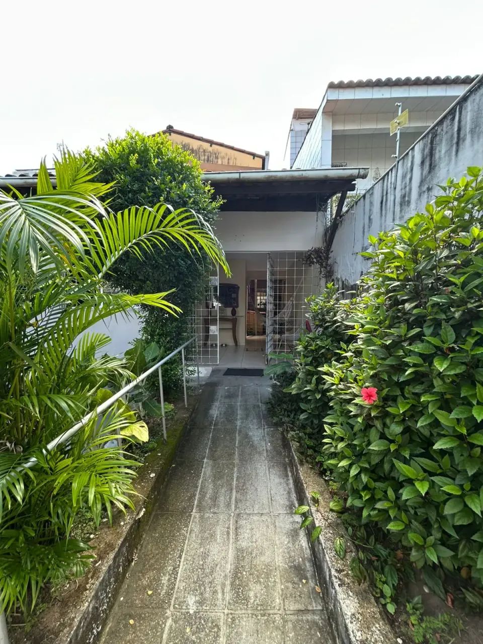 Casa para locação, CAMPO GRANDE, Recife, PE - Foto 2