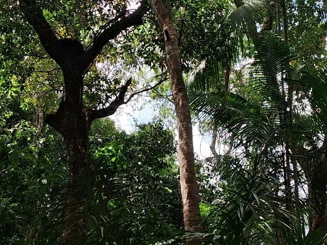 Vendo um excelente terreno  - Foto 5