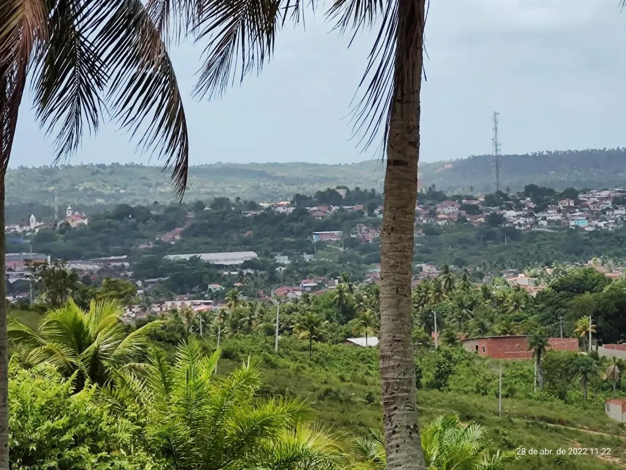 IGARASSU 6ha, com escritura, 200 mil cada Hectare  - Foto 3