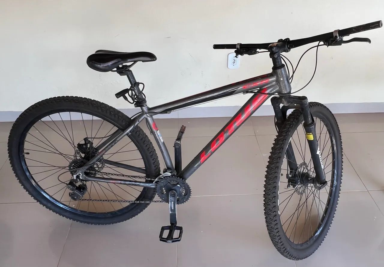 Bicicleta lótus  - Foto 2