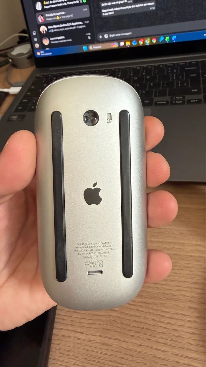 Magic Mouse Apple 