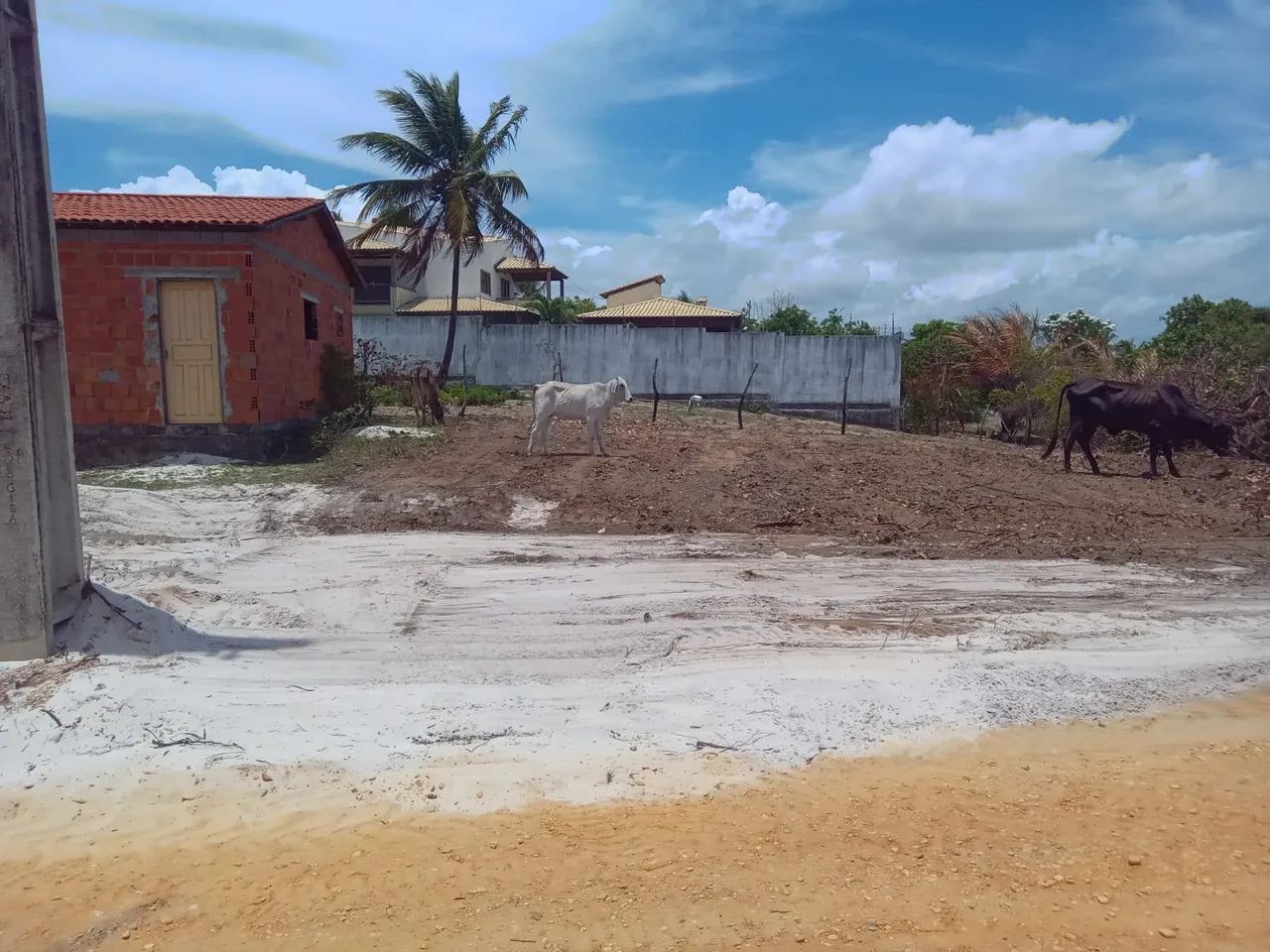 Terreno em lagoa redonda - Pirambu 