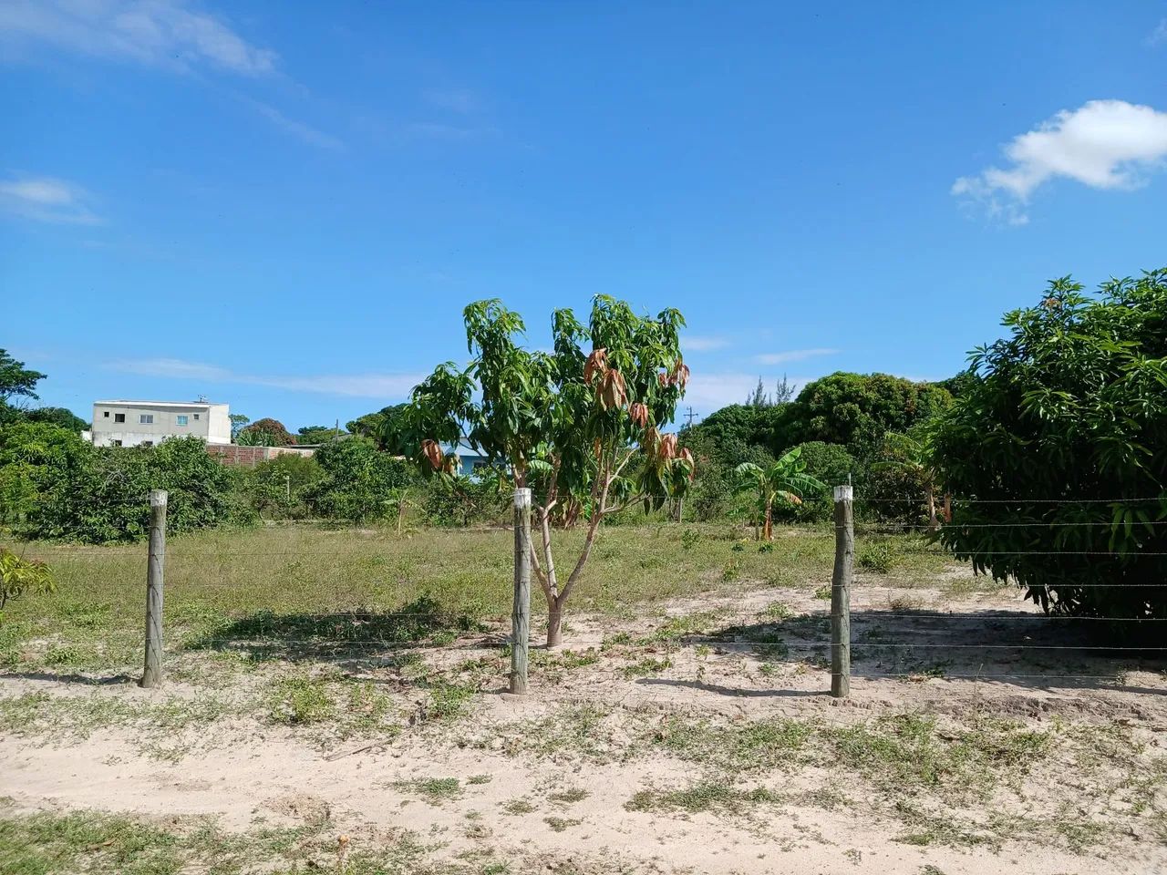 terreno 10×22 - Foto 2