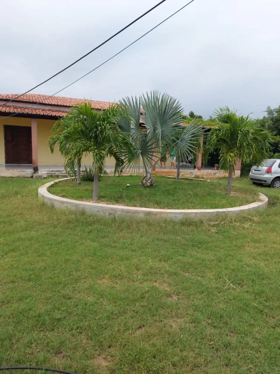 Fazenda em Afonso bezerra com 38.3 hectares - Foto 4