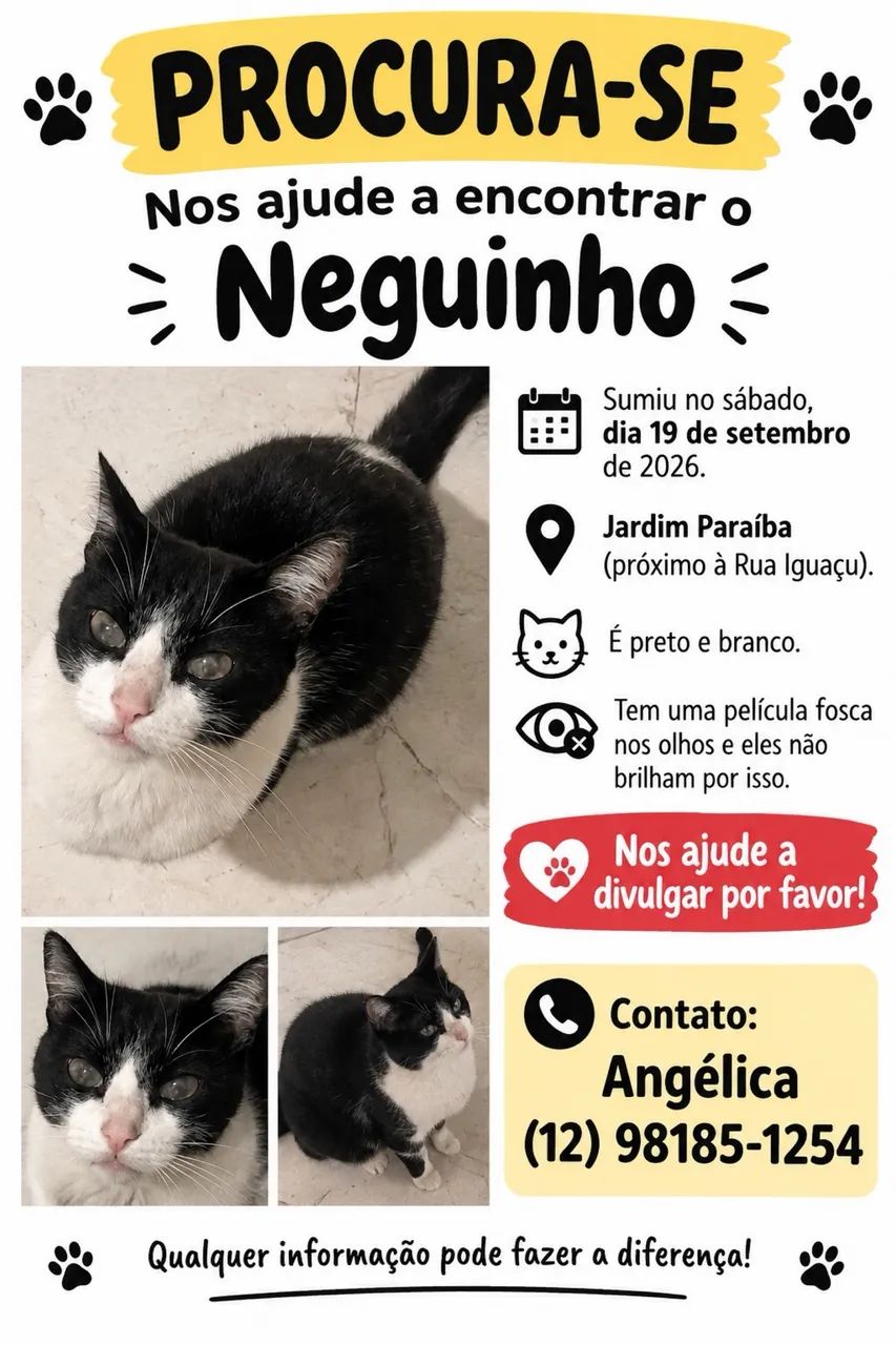 Gatinho