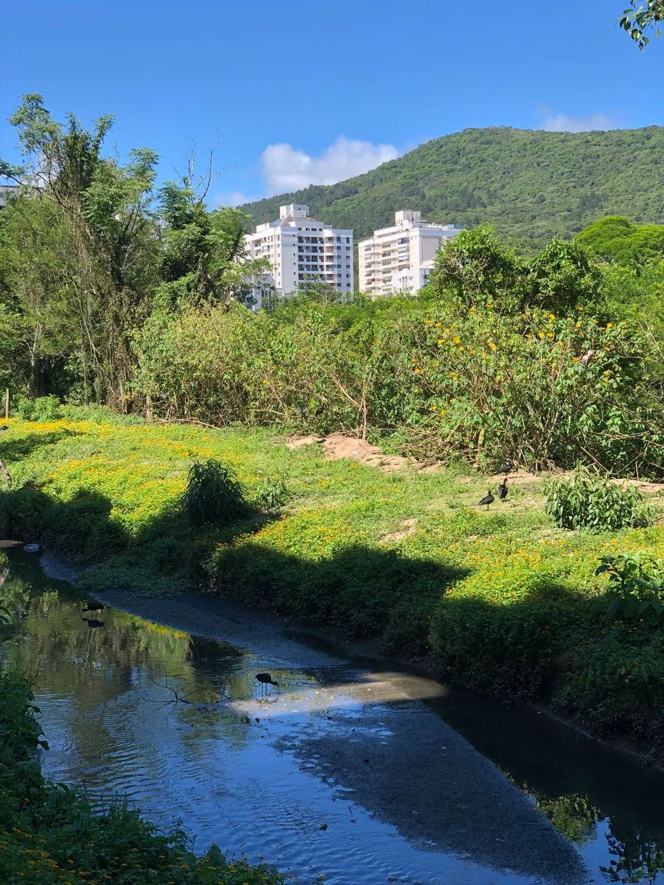 QUARTO PARA ALUGAR - ITACORUBI | FLORIANÓPOLIS - Foto 4