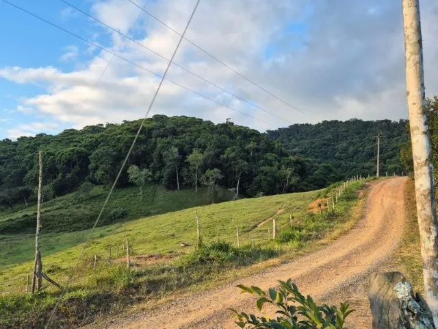 fazenda 83 alqueires  - Foto 2