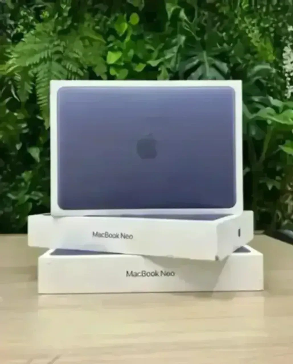 Macbook NEO 256gb SSD / 8gb RAM || Cor Amarelo Citrus || Loja