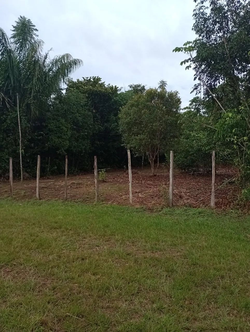 Terreno  - Foto 2