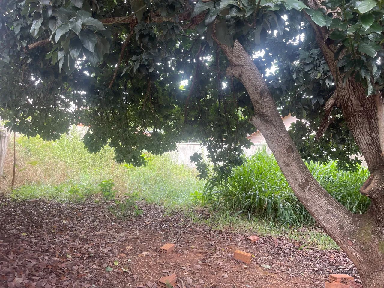 Vende se lote 300M - Foto 4
