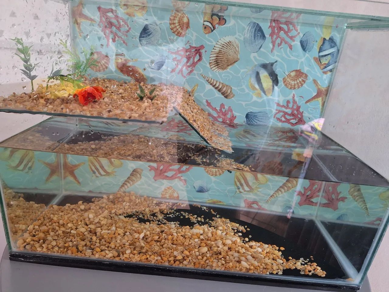 Mini Acquario Autopulente Con Filtro - 31.5x13.5x16.5 Cm, Pompa Aria USB, Ideale Per Tavolo, Soggiorno O Ufficio, Per Pesci E Piante