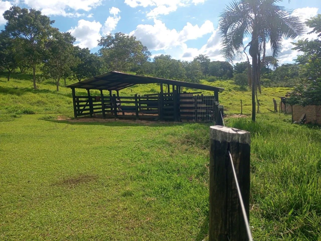 Chácara em cocalzinho de Goiás  - Foto 4