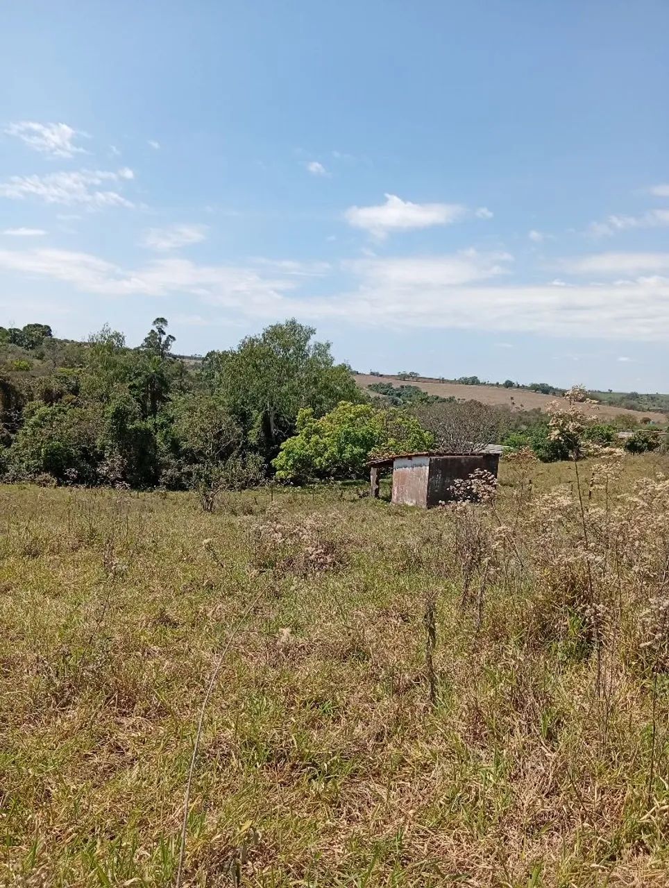Chácara de 5000² - Foto 4