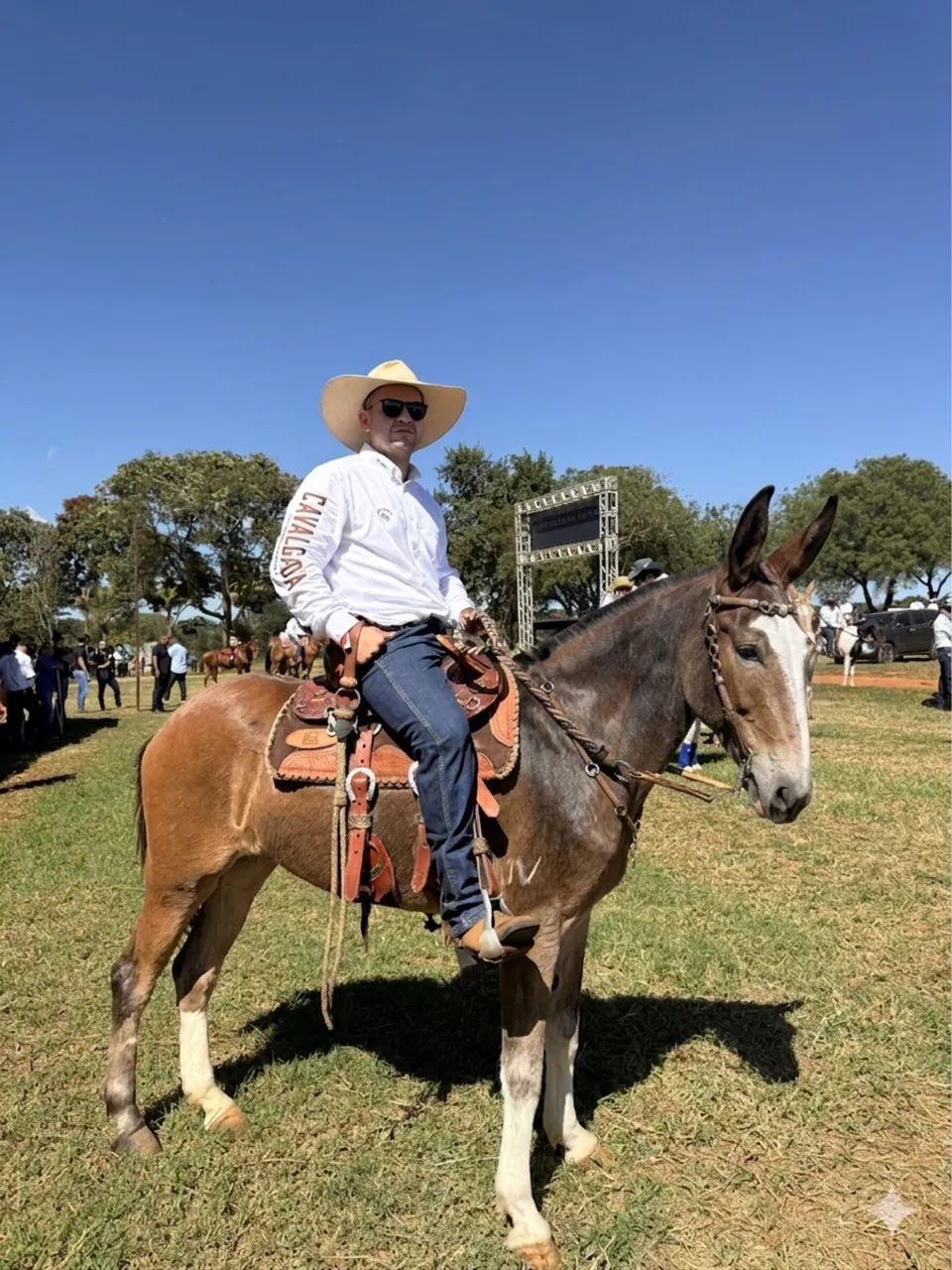 Burro de patrão  - Foto 6