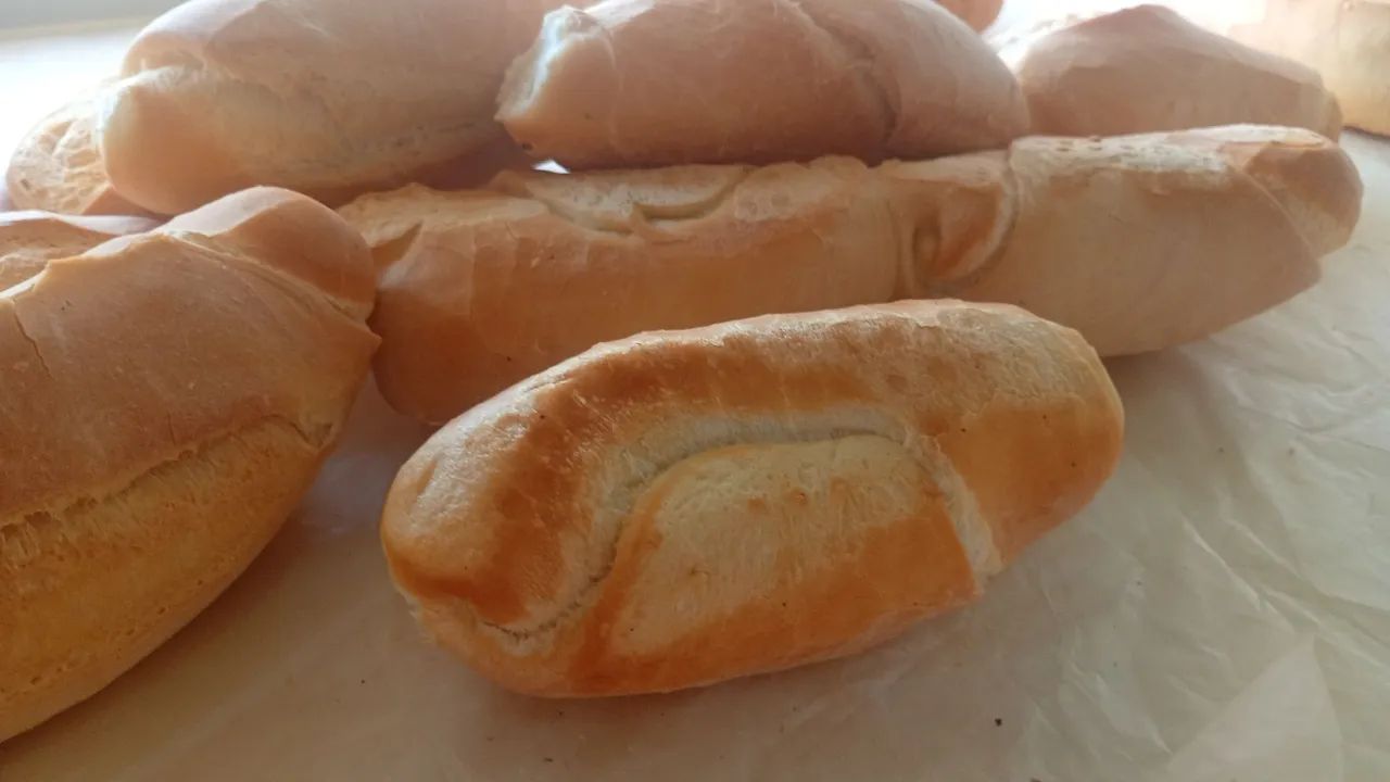 Padeiro disponível - Foto 4