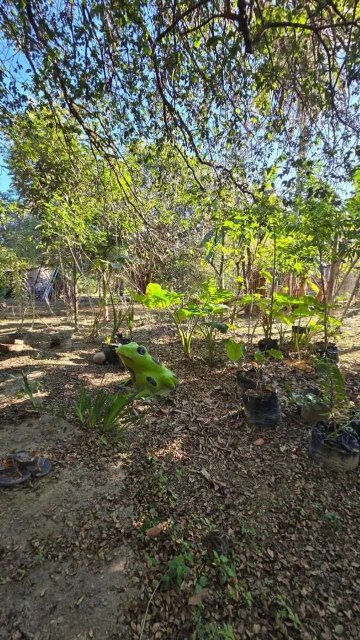 Linda chacara em sta candida 320. - Foto 5