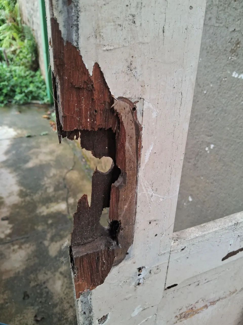 Porta antiga de madeira e vidro 65126936240515122