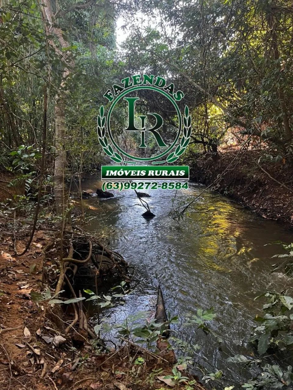 Oportunidade Chácara de 34 Hectares Próximo de Palmas,  - Foto 5