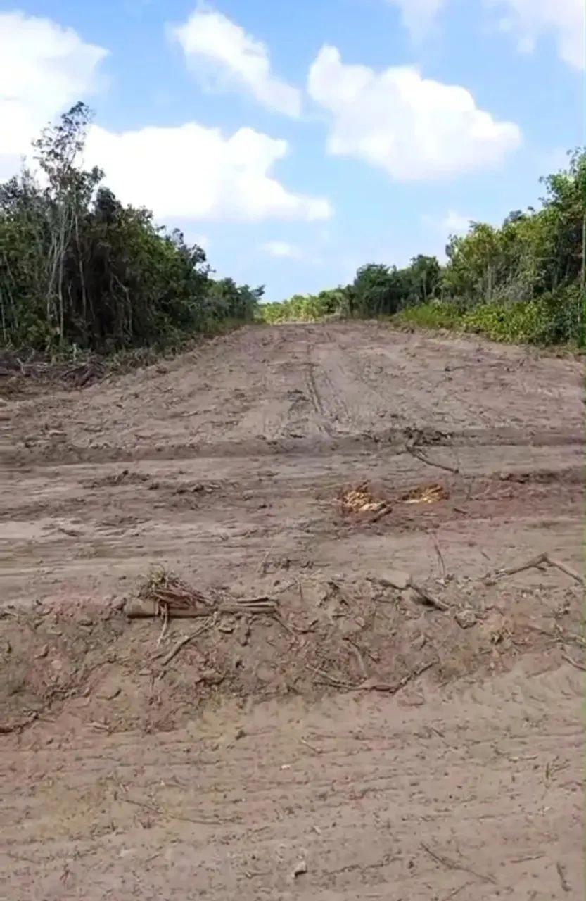 terreno em Marudá - Foto 3
