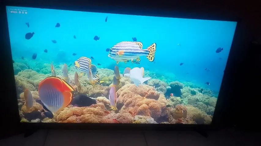 TV SAMSUNG 43 POLEGADAS TOP - Foto 5