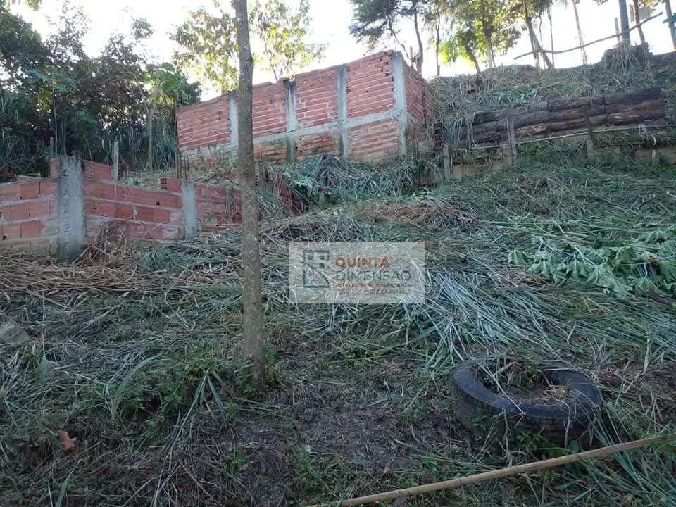 TERRENO PARQUE PRIMAVERA - Foto 3
