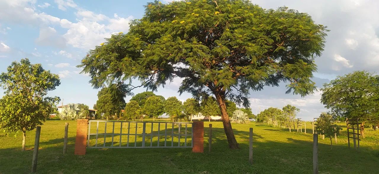 Foto - Bauru - Tibiriçá